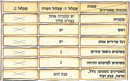(בספר שלוש תמונות, היעזר במנחה)